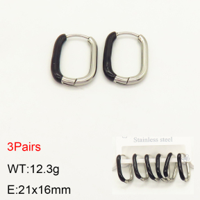 2E3002227bhva-351  Stainless Steel Earrings