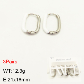 2E3002228bhva-351  Stainless Steel Earrings