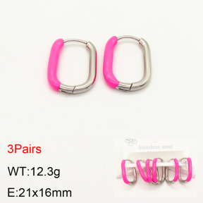 2E3002230bhva-351  Stainless Steel Earrings