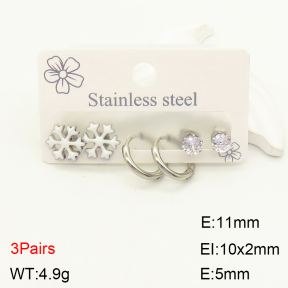 2E4003391vbll-351  Stainless Steel Earrings