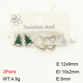 2E4003393vbll-351  Stainless Steel Earrings