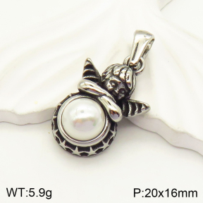 2P3000388bhva-232  Stainless Steel Pendant