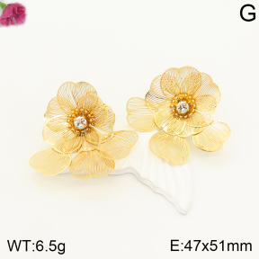 F2E401280vbnb-K53  Fashion Earrings