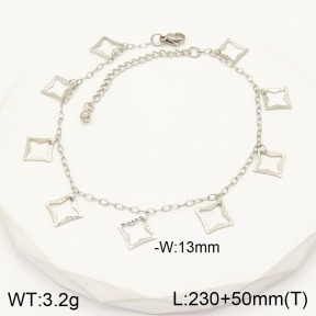 2A9001164aaij-368  Stainless Steel Anklets