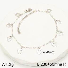 2A9001165aaij-368  Stainless Steel Anklets