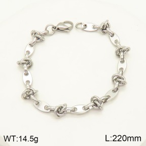 2B2002785vbnl-641  Stainless Steel Bracelet