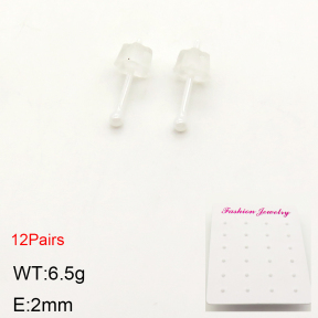 2E6000001bkab-244  Porcelain  Stainless Steel Earrings