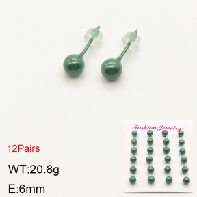 2E6000009bkab-244  Porcelain  Stainless Steel Earrings