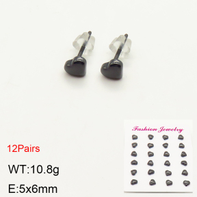 2E6000033bkab-244  Porcelain  Stainless Steel Earrings