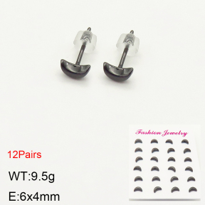 2E6000036bkab-244  Porcelain  Stainless Steel Earrings