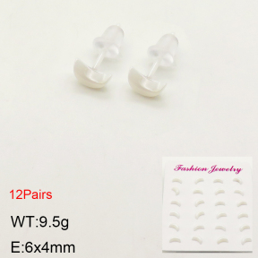 2E6000038bkab-244  Porcelain  Stainless Steel Earrings