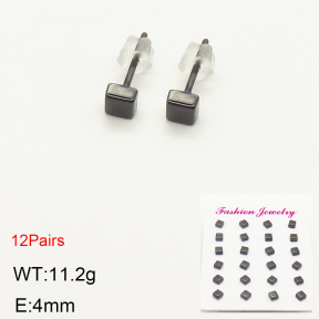 2E6000040bkab-244  Porcelain  Stainless Steel Earrings