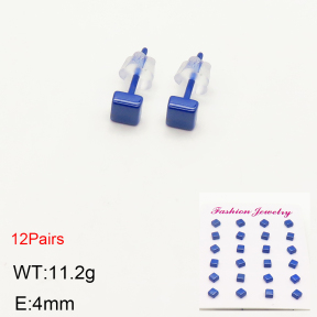 2E6000041bkab-244  Porcelain  Stainless Steel Earrings