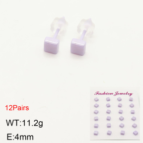 2E6000043bkab-244  Porcelain  Stainless Steel Earrings