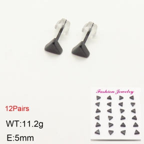 2E6000050bkab-244  Porcelain  Stainless Steel Earrings