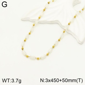 2N4002827bhbl-368  Stainless Steel Necklace