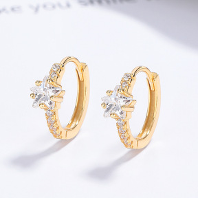 JE6897aijo-Y06  925 Silver Earrings  WT:1.7g  12.7*15.5mm