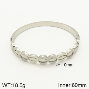 2BA201151bhia-617  Stainless Steel Bangle