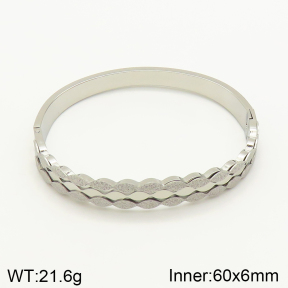 2BA201157bhia-617  Stainless Steel Bangle