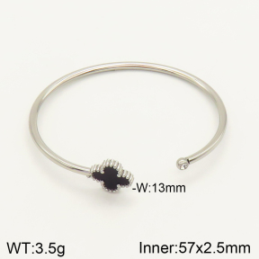 2BA401451vbpb-617  Stainless Steel Bangle