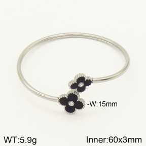 2BA401466bhva-617  Stainless Steel Bangle