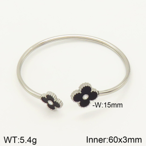 2BA401472bhva-617  Stainless Steel Bangle