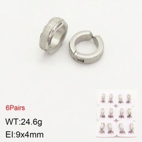 2E2004062bika-387  Stainless Steel Earrings