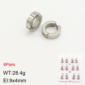 2E2004064ahlv-387  Stainless Steel Earrings