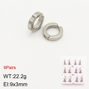 2E2004065ahlv-387  Stainless Steel Earrings