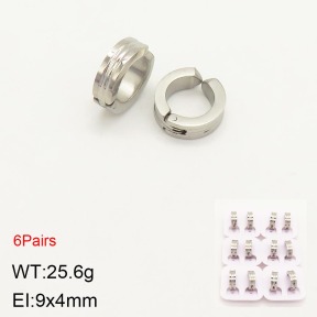 2E2004067vihb-387  Stainless Steel Earrings