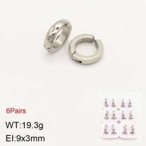 2E2004070vihb-387  Stainless Steel Earrings