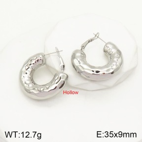 2E2004076bhva-649  Stainless Steel Earrings