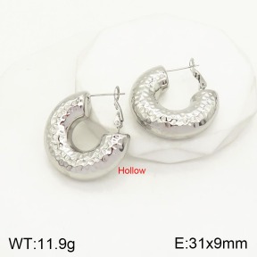 2E2004078bhva-649  Stainless Steel Earrings