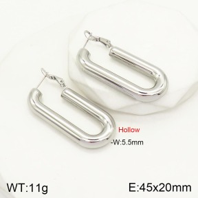 2E2004080bhva-649  Stainless Steel Earrings