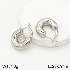 2E2004088abol-649  Stainless Steel Earrings