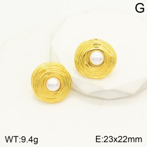 2E3002209vhha-649  Stainless Steel Earrings