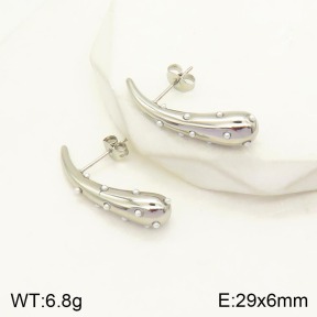 2E3002211bhva-649  Stainless Steel Earrings