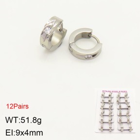 2E4003377akoa-387  Stainless Steel Earrings