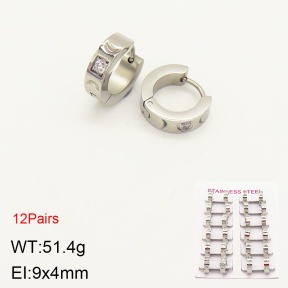 2E4003378akoa-387  Stainless Steel Earrings