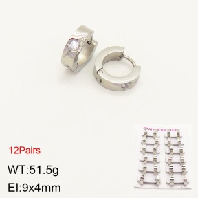 2E4003379akoa-387  Stainless Steel Earrings