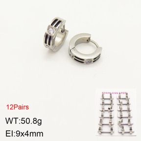 2E4003380amaa-387  Stainless Steel Earrings