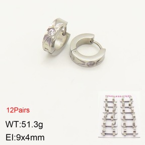 2E4003381akoa-387  Stainless Steel Earrings