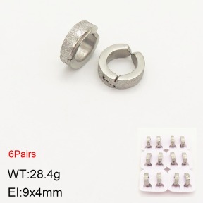 2E5000221bika-387  Stainless Steel Earrings