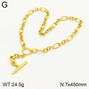 2N2004142bhva-723  Stainless Steel Necklace