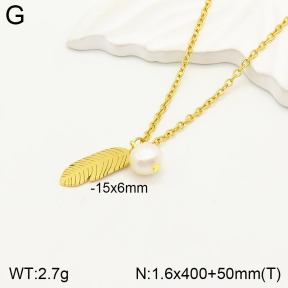 2N3001668bbov-723  Stainless Steel Necklace