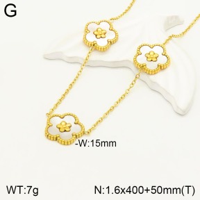 2N3001670bhva-723  Stainless Steel Necklace