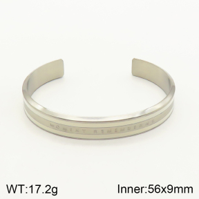 2BA300168vhmv-262  Stainless Steel Bangle