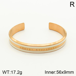 2BA300169vhov-262  Stainless Steel Bangle