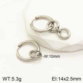 2E2004091vbmb-262  Stainless Steel Earrings