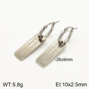 2E2004094bbov-262  Stainless Steel Earrings